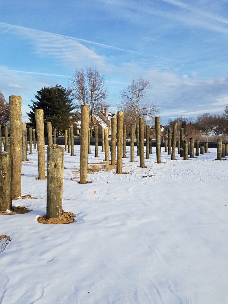Field of Wooden Foundation Posts